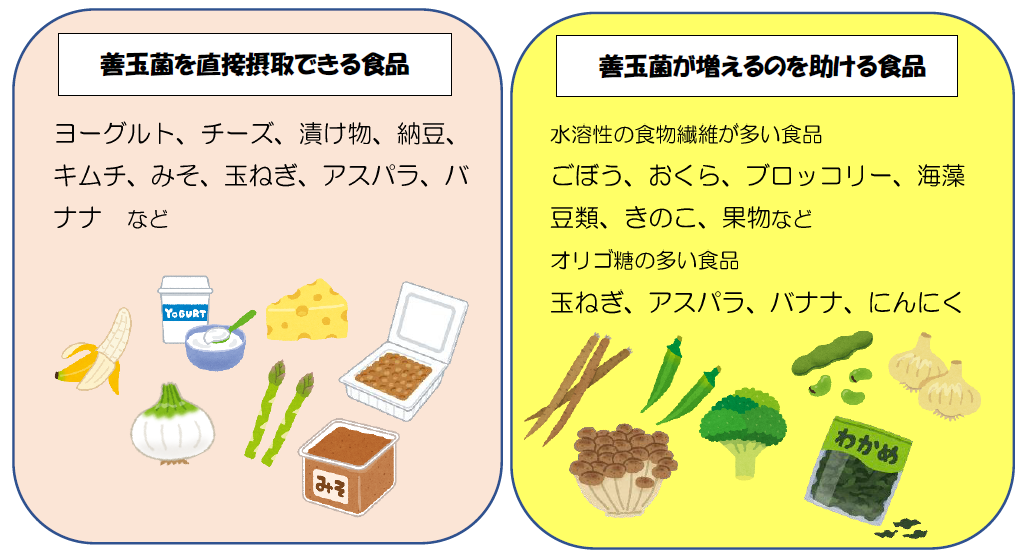 Vol 23 腸内環境のお話 産業医の紹介・ストレスチェック・健康診断手配の代行は産業衛生サポートへ